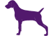 Dog Handling